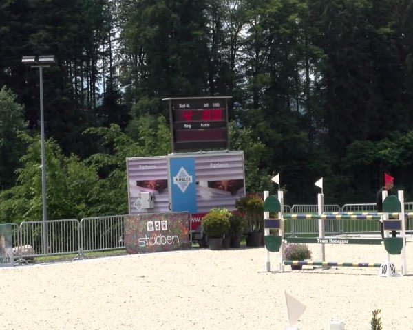 Reitturnier Meilen 2024