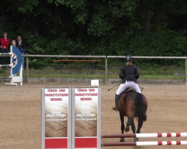Reitturnier Königsbrunn-Ulrichshof/Schw. 2024