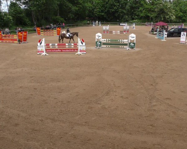 Reitturnier Königsbrunn-Ulrichshof/Schw. 2024