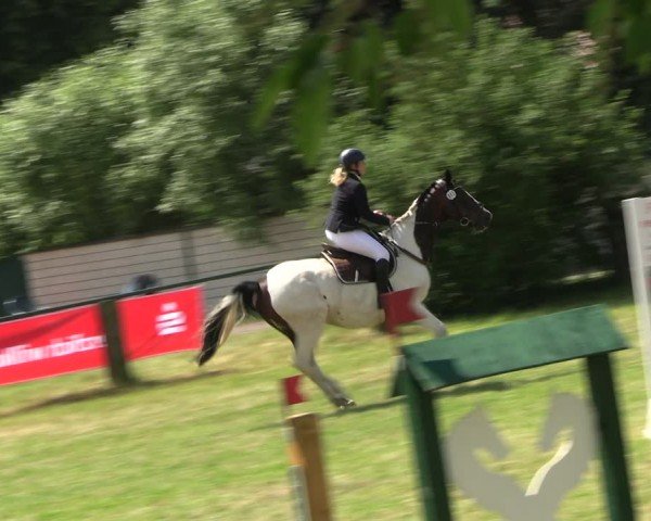 Reitturnier Buckow bei Beeskow (LOS) 2024