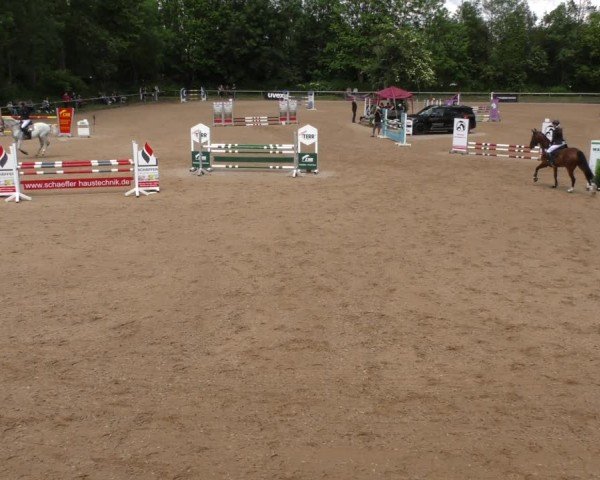 Reitturnier Königsbrunn-Ulrichshof/Schw. 2024