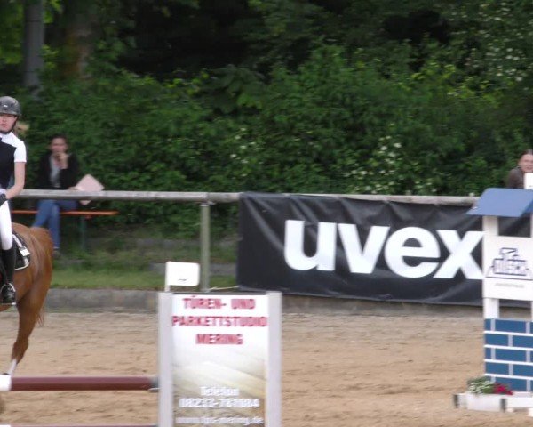Reitturnier Königsbrunn-Ulrichshof/Schw. 2024