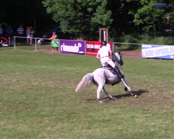 Reitturnier Königsborn 2024