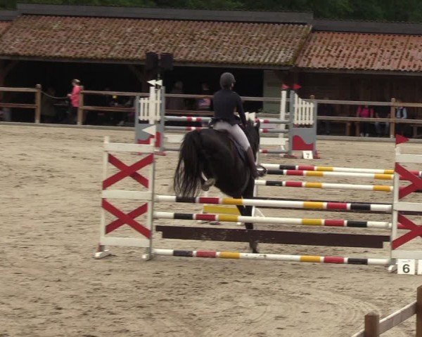 Reitturnier Alvern 2024