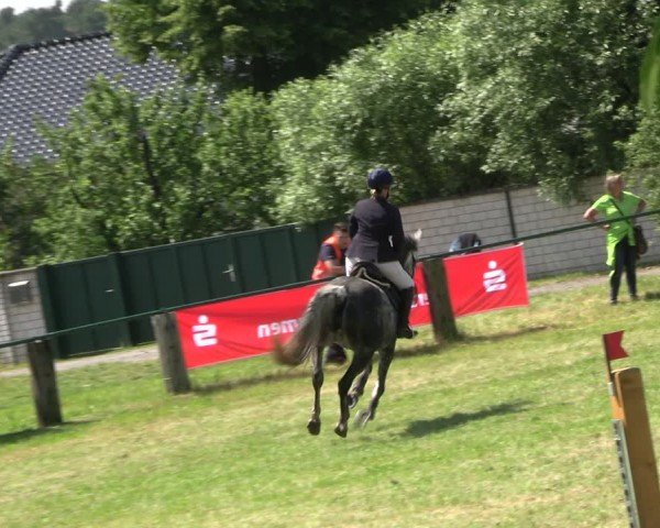Reitturnier Buckow bei Beeskow (LOS) 2024