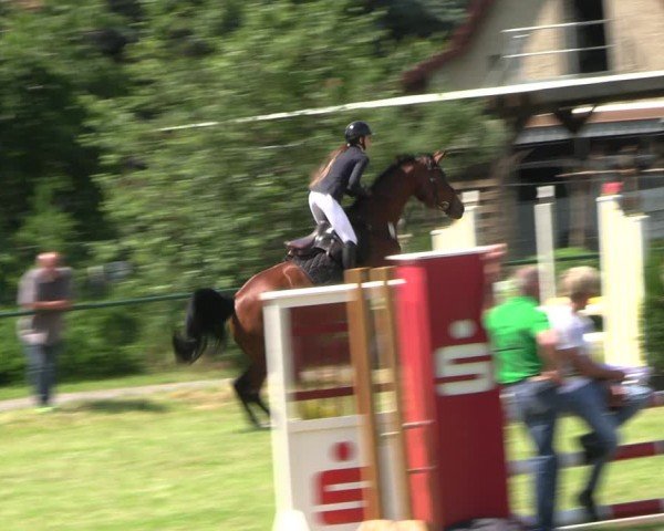 Reitturnier Buckow bei Beeskow (LOS) 2024