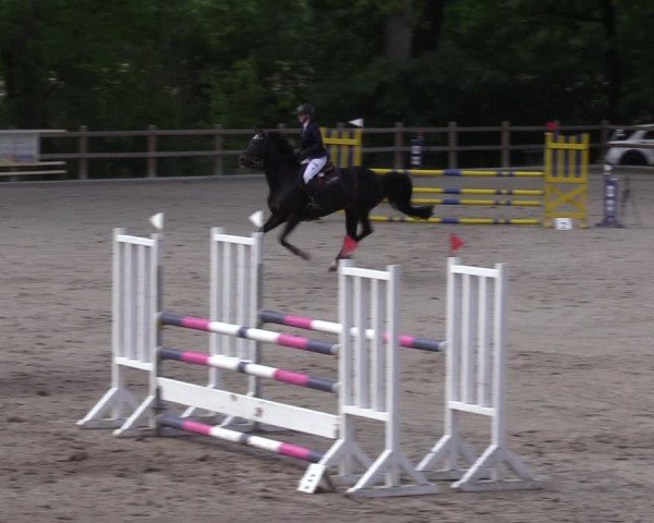 Reitturnier Alvern 2024