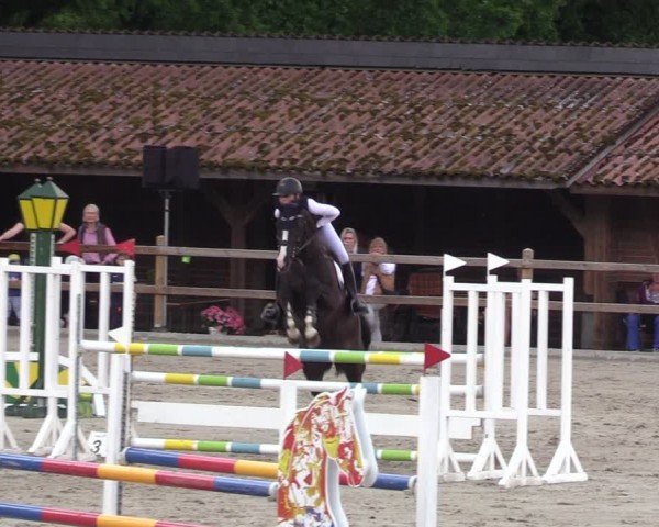Reitturnier Alvern 2024