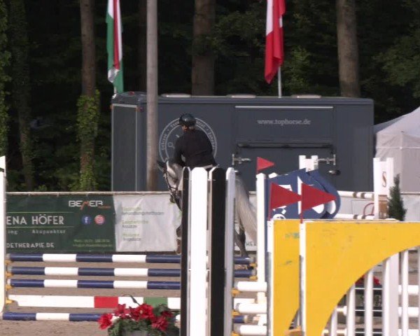 Reitturnier Ranshofen - Braunau am Inn 2024