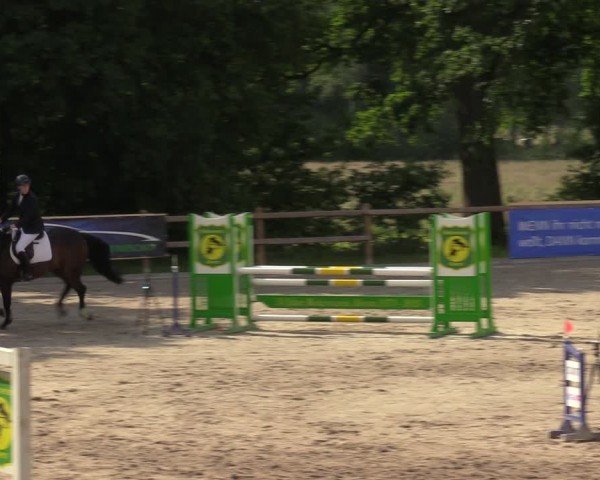 Reitturnier Alvern 2024