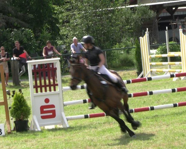 Reitturnier Buckow bei Beeskow (LOS) 2024