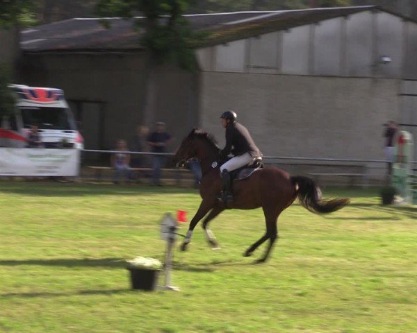 Reitturnier Kakerbeck 2024