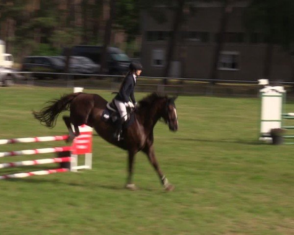 Reitturnier Kakerbeck 2024