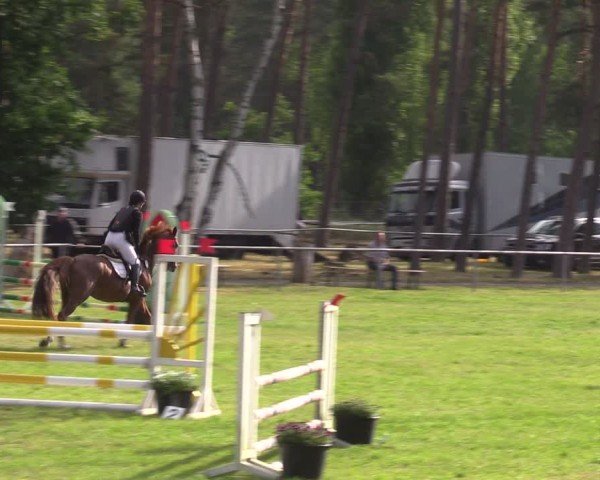 Reitturnier Kakerbeck 2024