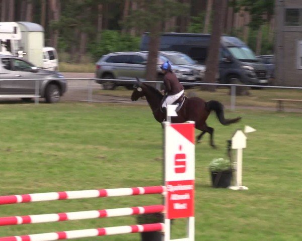 Reitturnier Kakerbeck 2024