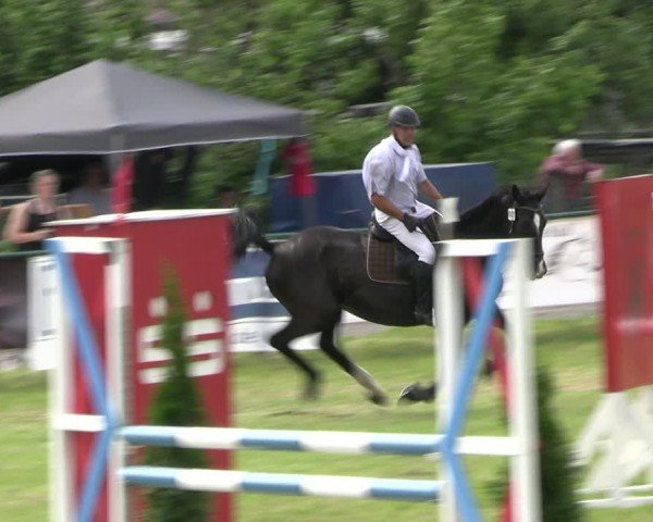 Reitturnier Buckow bei Beeskow (LOS) 2024