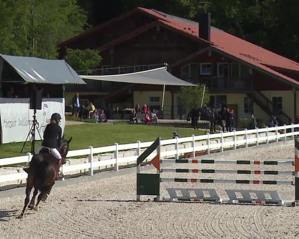 Reitturnier Gut Bohmerhof-Wackersberg/Obb. 2024