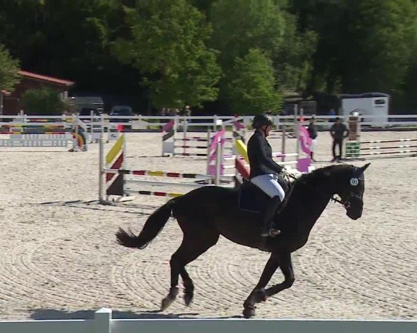 Reitturnier Gut Bohmerhof-Wackersberg/Obb. 2024