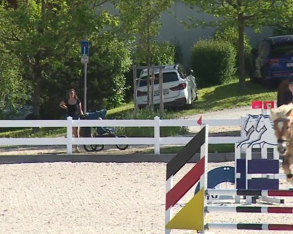 Reitturnier Gut Bohmerhof-Wackersberg/Obb. 2024