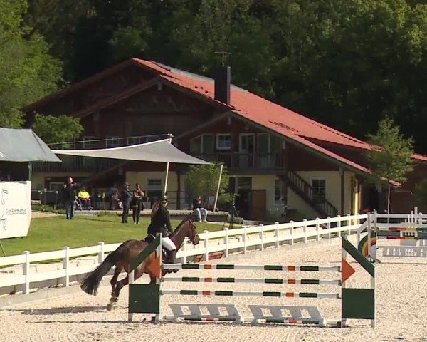 Reitturnier Gut Bohmerhof-Wackersberg/Obb. 2024