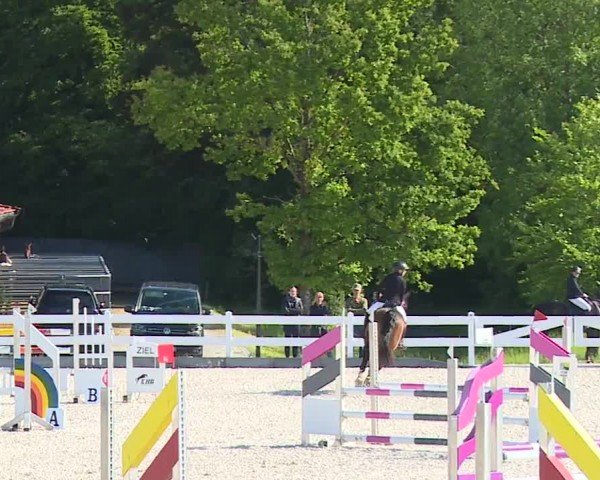 Reitturnier Gut Bohmerhof-Wackersberg/Obb. 2024