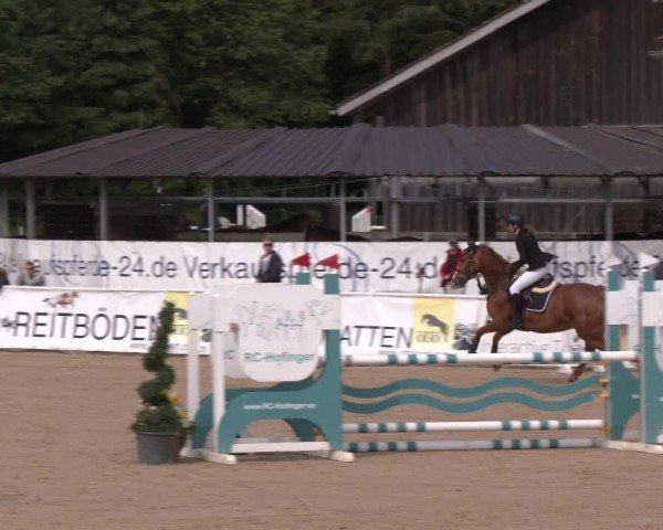 Reitturnier Ranshofen - Braunau am Inn 2024