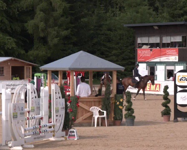 Reitturnier Ranshofen - Braunau am Inn 2024