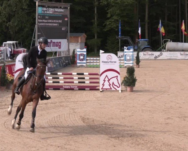 Reitturnier Ranshofen - Braunau am Inn 2024