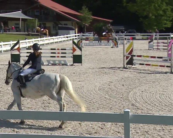 Reitturnier Gut Bohmerhof-Wackersberg/Obb. 2024