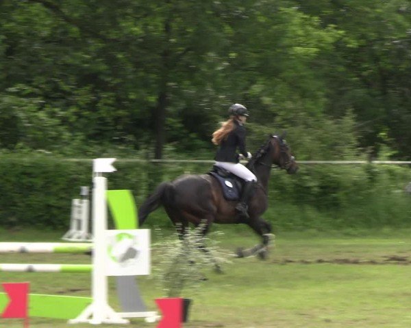 Reitturnier Jülich 2024