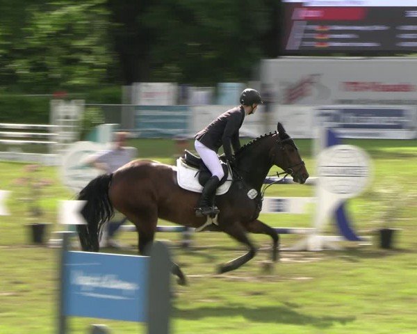 Reitturnier Jülich 2024