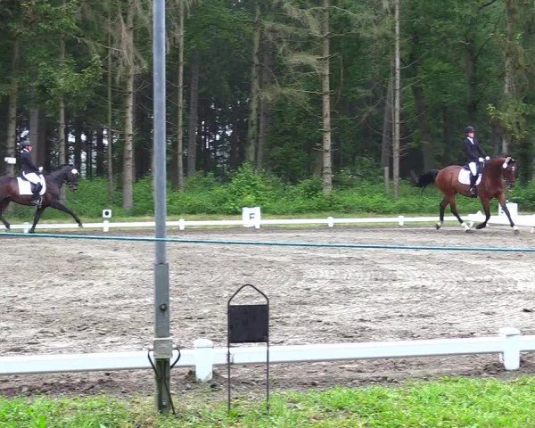 Reitturnier Kellinghusen  2024