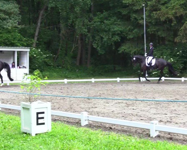 Reitturnier Kellinghusen  2024