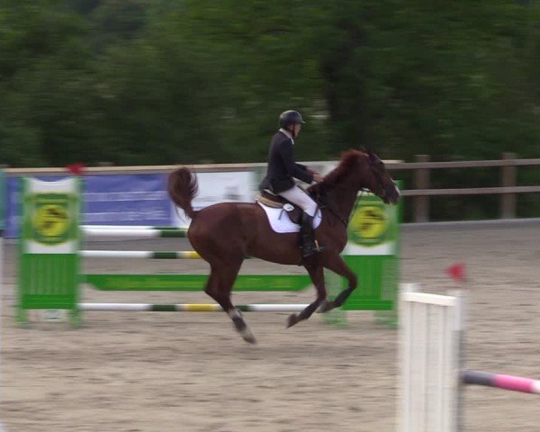Reitturnier Alvern 2024