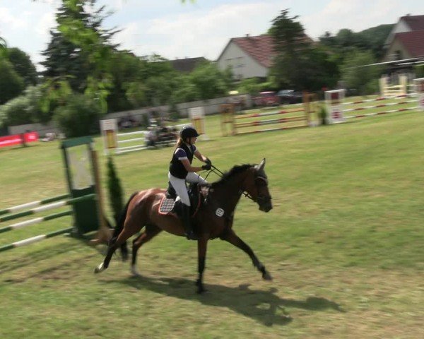 Reitturnier Buckow bei Beeskow (LOS) 2024