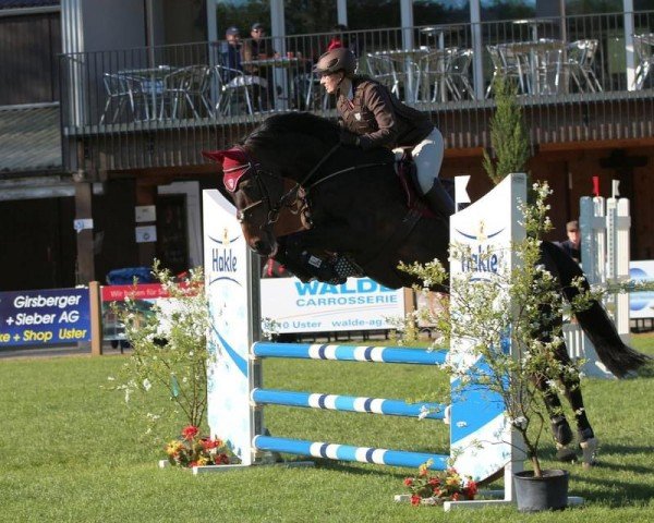 dressage horse Neykene du Lavillon (Selle Français, 2001, from Eyken des Fontenis)