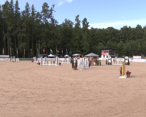 Reitturnier Ranshofen - Braunau am Inn 2024