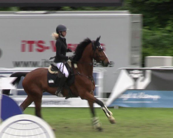 Reitturnier Jülich 2024