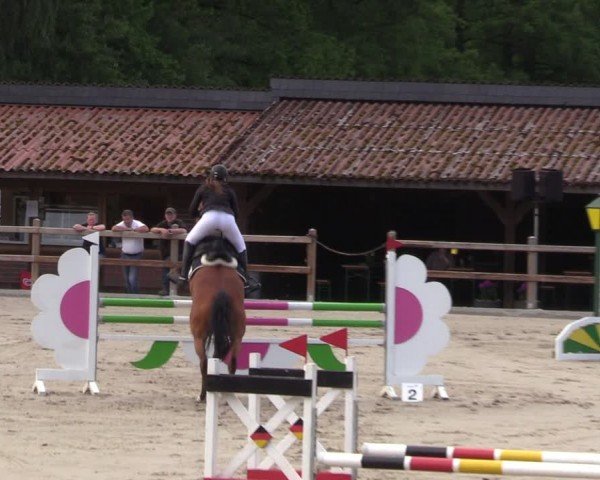 Reitturnier Alvern 2024