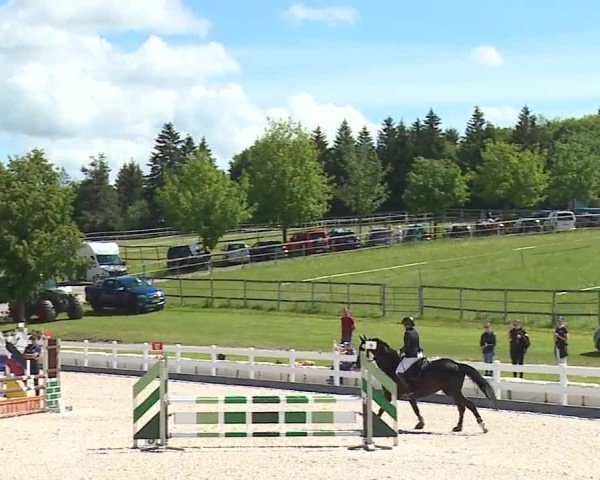 Reitturnier Gut Bohmerhof-Wackersberg/Obb. 2024
