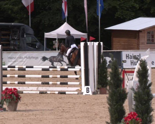 Reitturnier Ranshofen - Braunau am Inn 2024