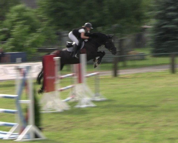 Reitturnier Buckow bei Beeskow (LOS) 2024
