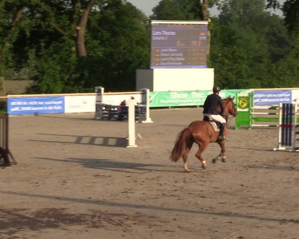 Reitturnier Alvern 2024