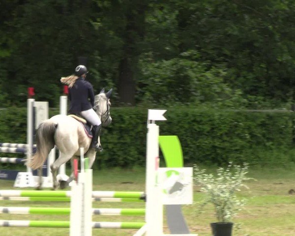 Reitturnier Jülich 2024