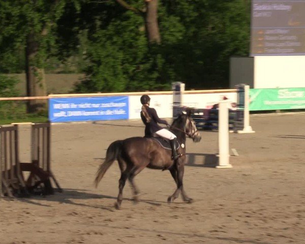 Reitturnier Alvern 2024