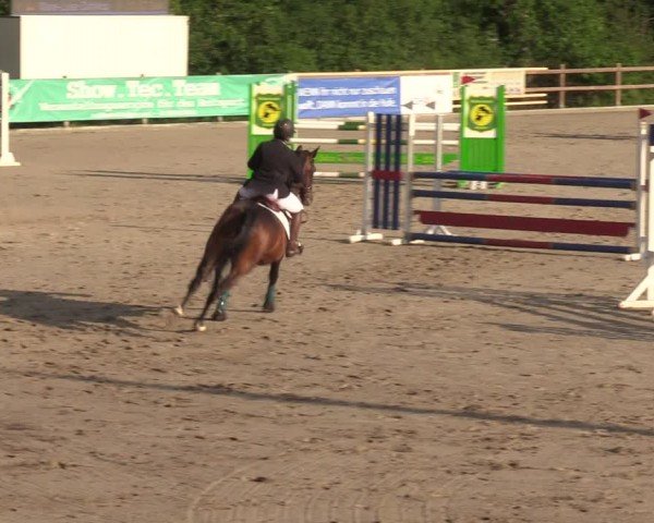 Reitturnier Alvern 2024