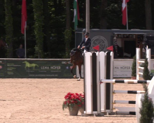 Reitturnier Ranshofen - Braunau am Inn 2024