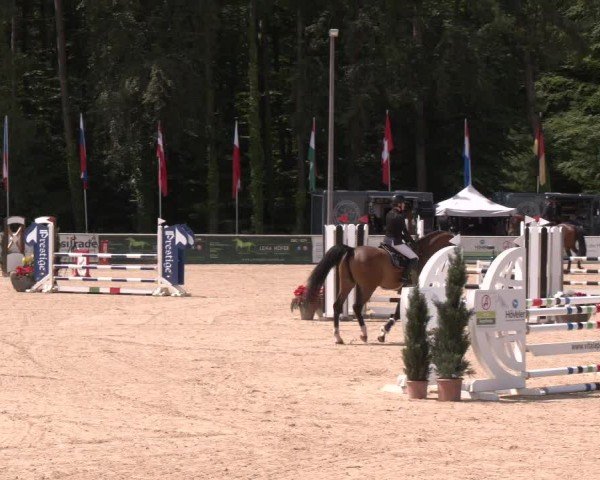 Reitturnier Ranshofen - Braunau am Inn 2024