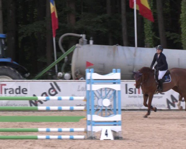 Reitturnier Ranshofen - Braunau am Inn 2024