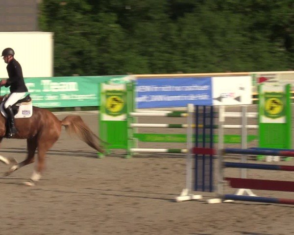 Reitturnier Alvern 2024